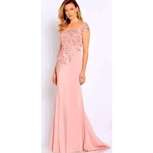 Cameron Blake Mother of Bride Formal Dress Gown 10